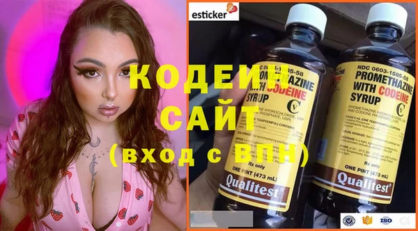 ГАЛЛЮЦИНОГЕННЫЕ ГРИБЫ Арсеньев