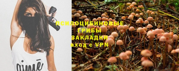 ГАЛЛЮЦИНОГЕННЫЕ ГРИБЫ Арсеньев