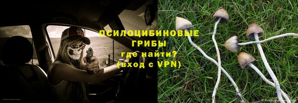 ГАЛЛЮЦИНОГЕННЫЕ ГРИБЫ Арсеньев