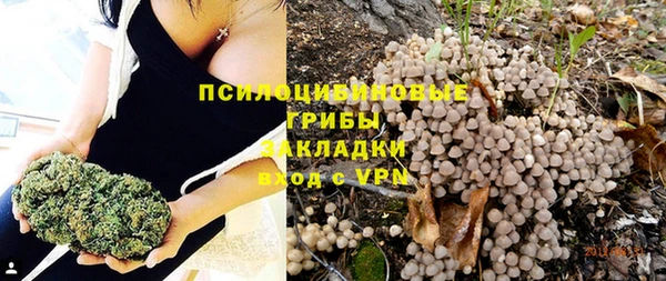 a pvp Алексин